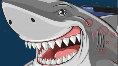 Shark Picture Aspect Ratio 1600 900