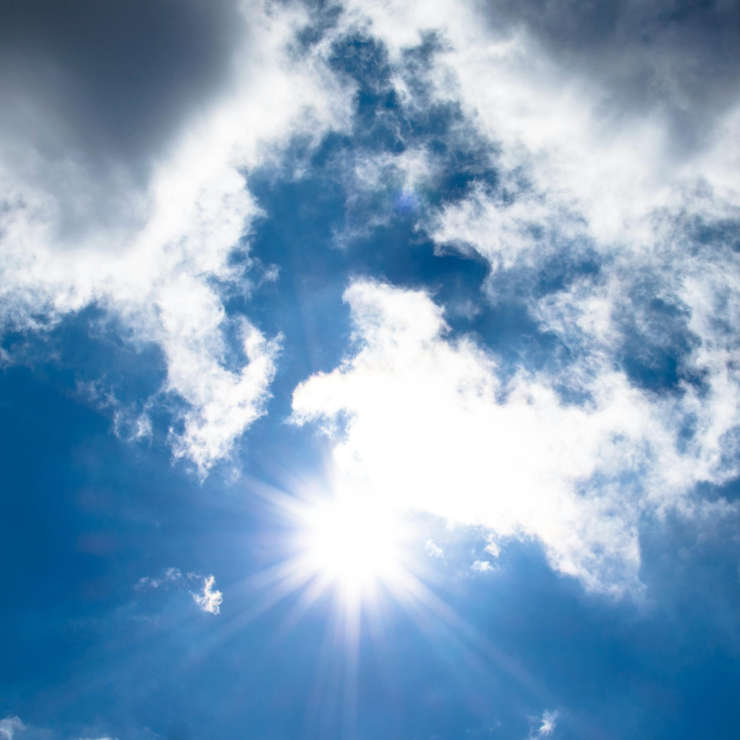 Sunlight Scaled Aspect Ratio 1000 1000
