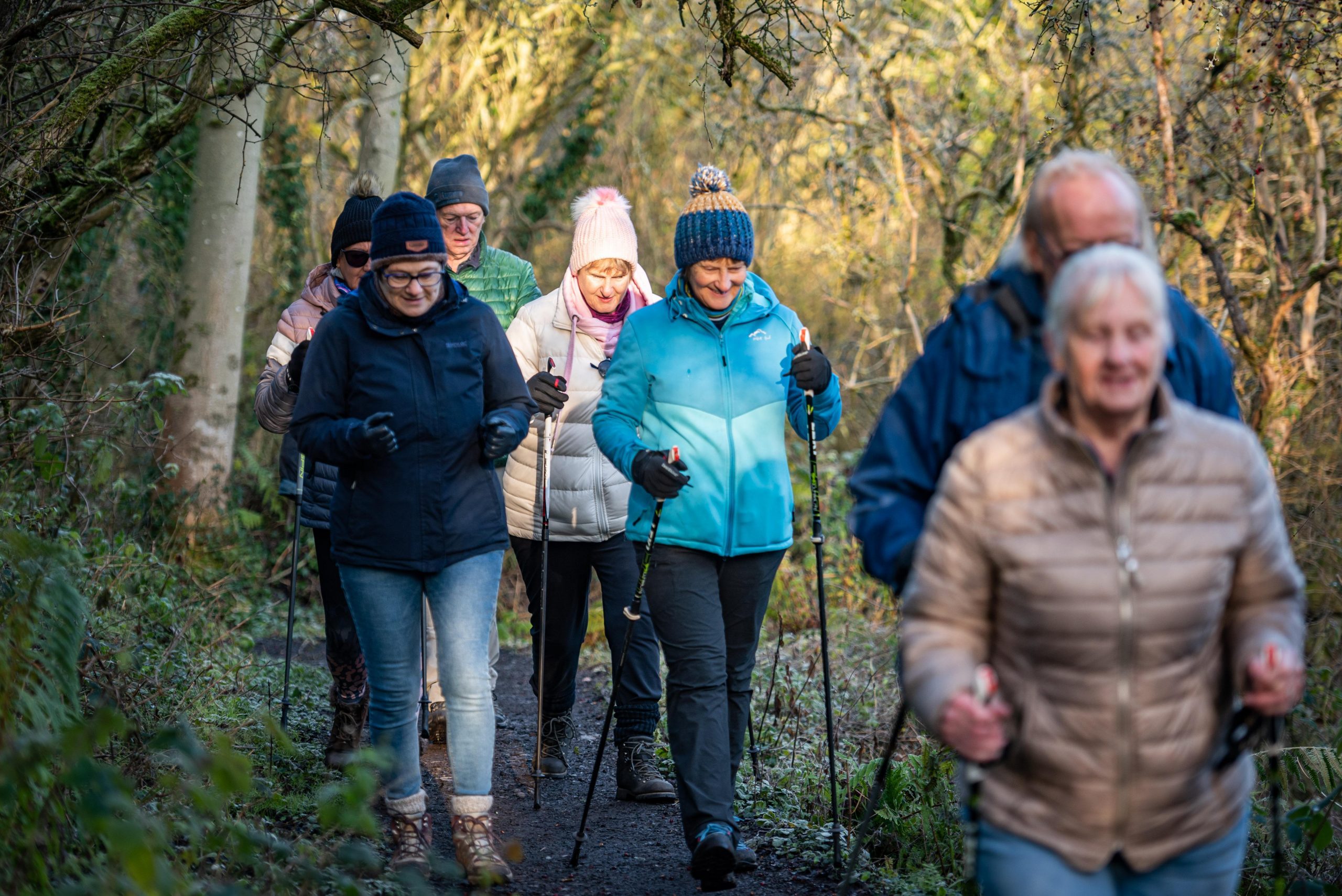 Group Waliking In Wooded Area   Sunderland Walking Programme