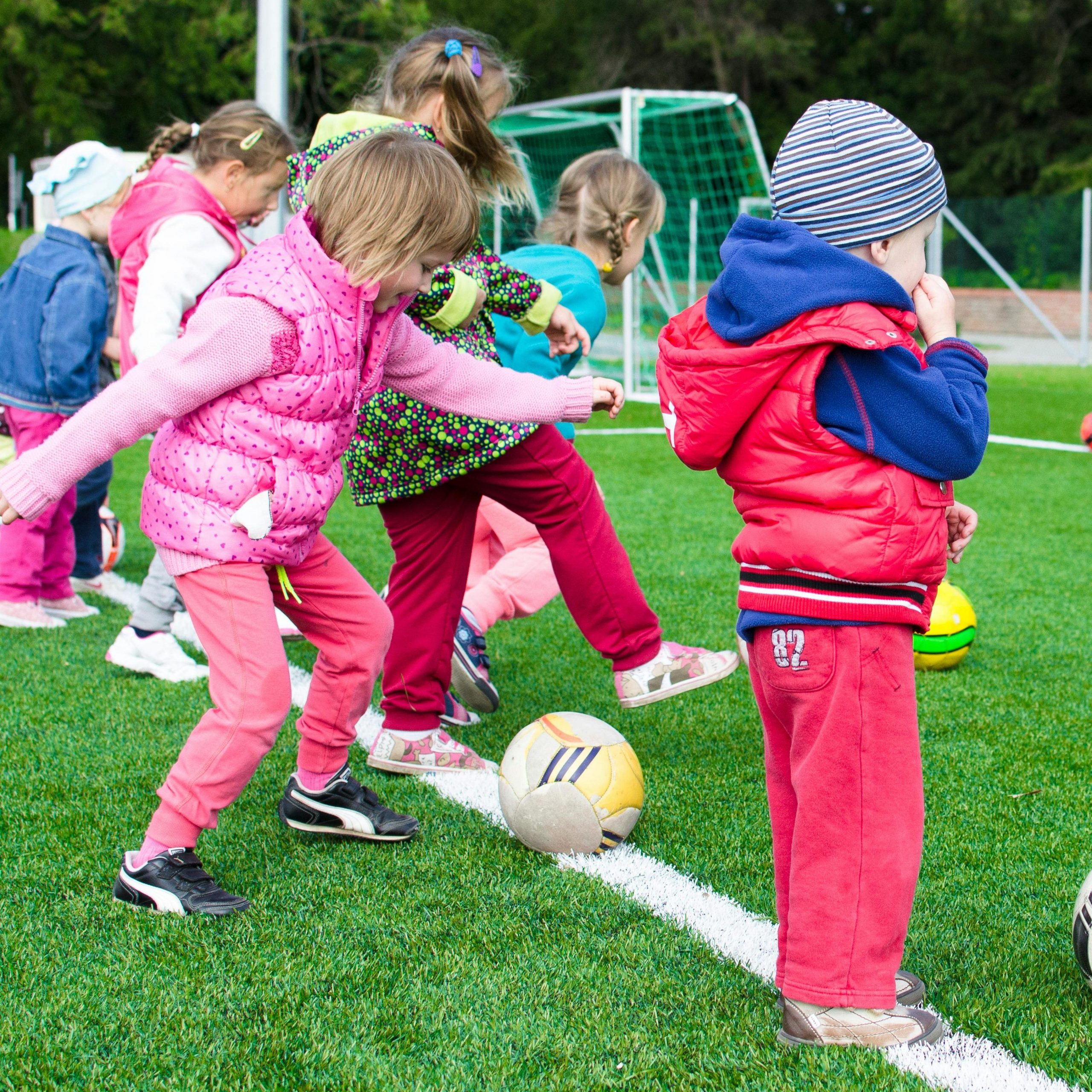 Pexels Goumbik 296302 Scaled Aspect Ratio 1600 900 1 Scaled Aspect Ratio 1000 1000