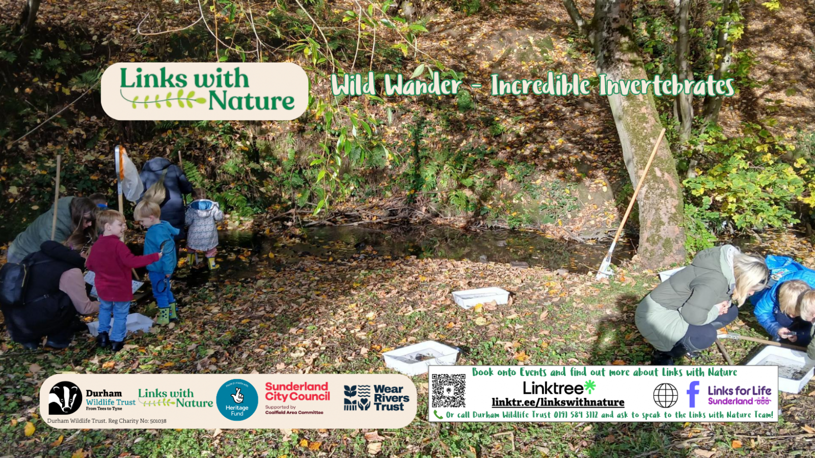 Wild Wander Incredible Invertebrates Aspect Ratio 1600 900