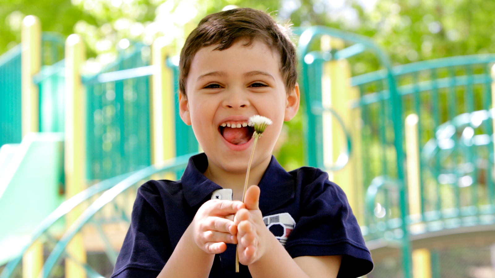 Daisy Chain Aspect Ratio 1600 900