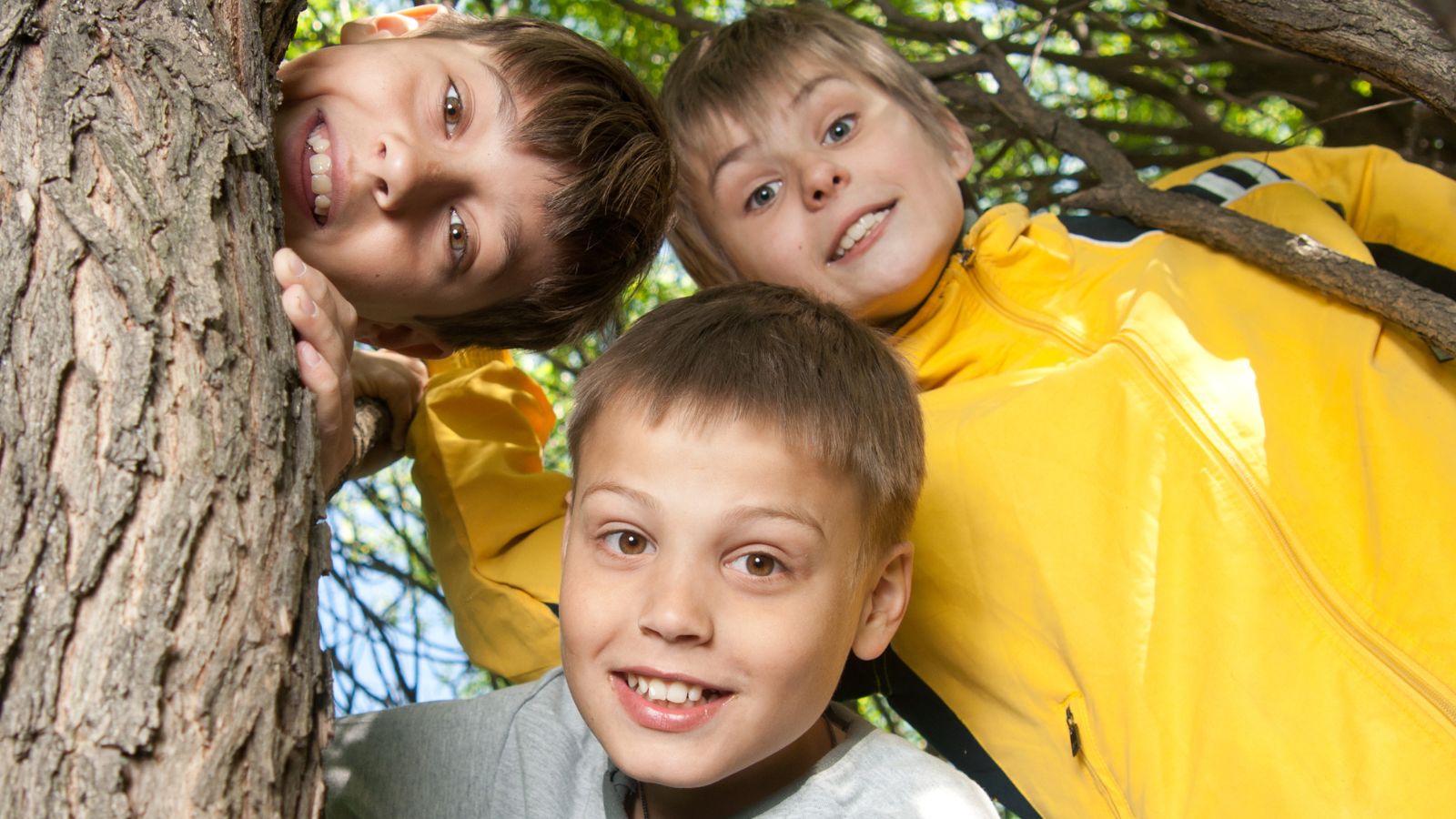 Emotional Resilience