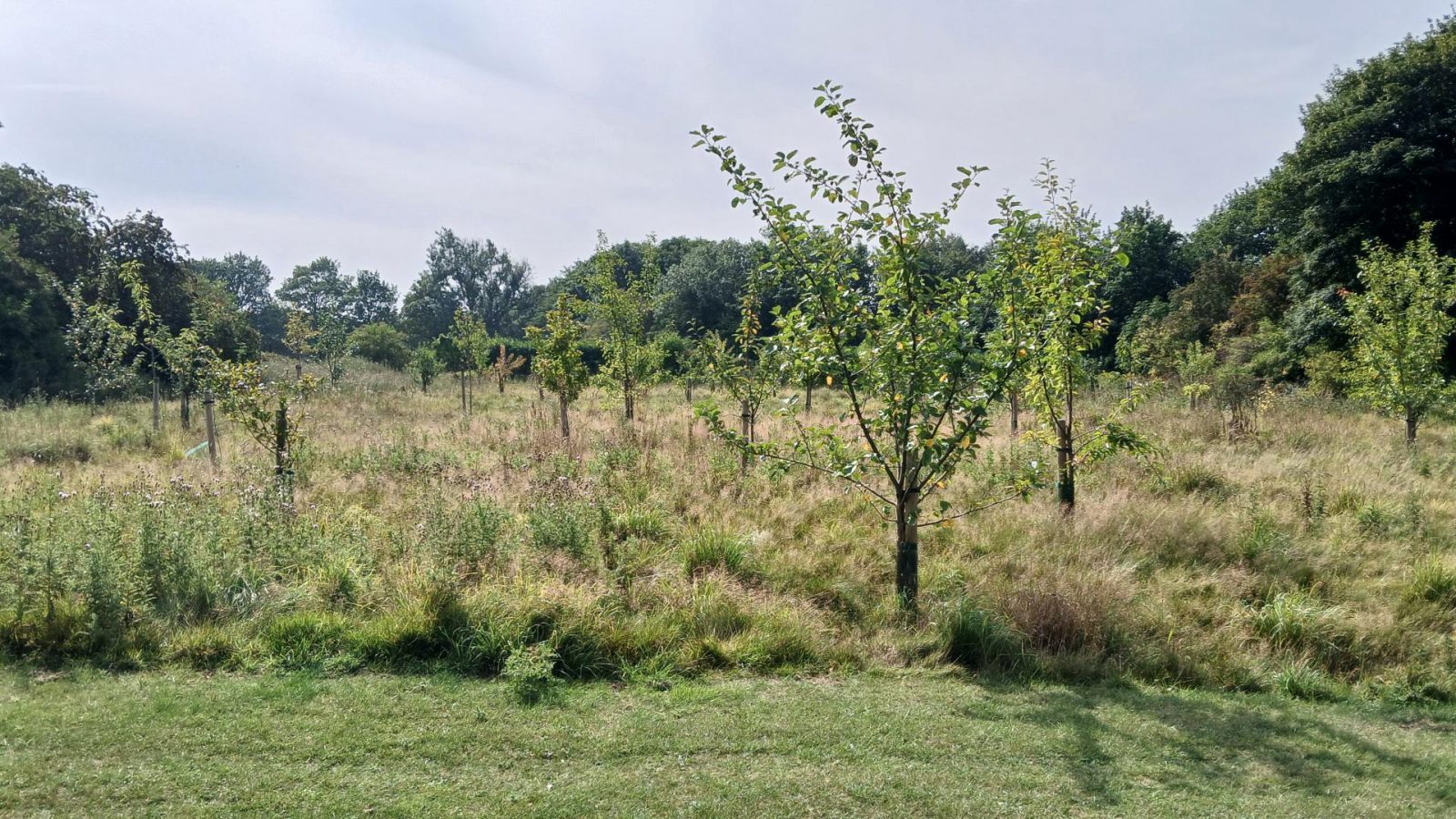 Media 7 Aspect Ratio 1600 900 Aspect Ratio 1600 900