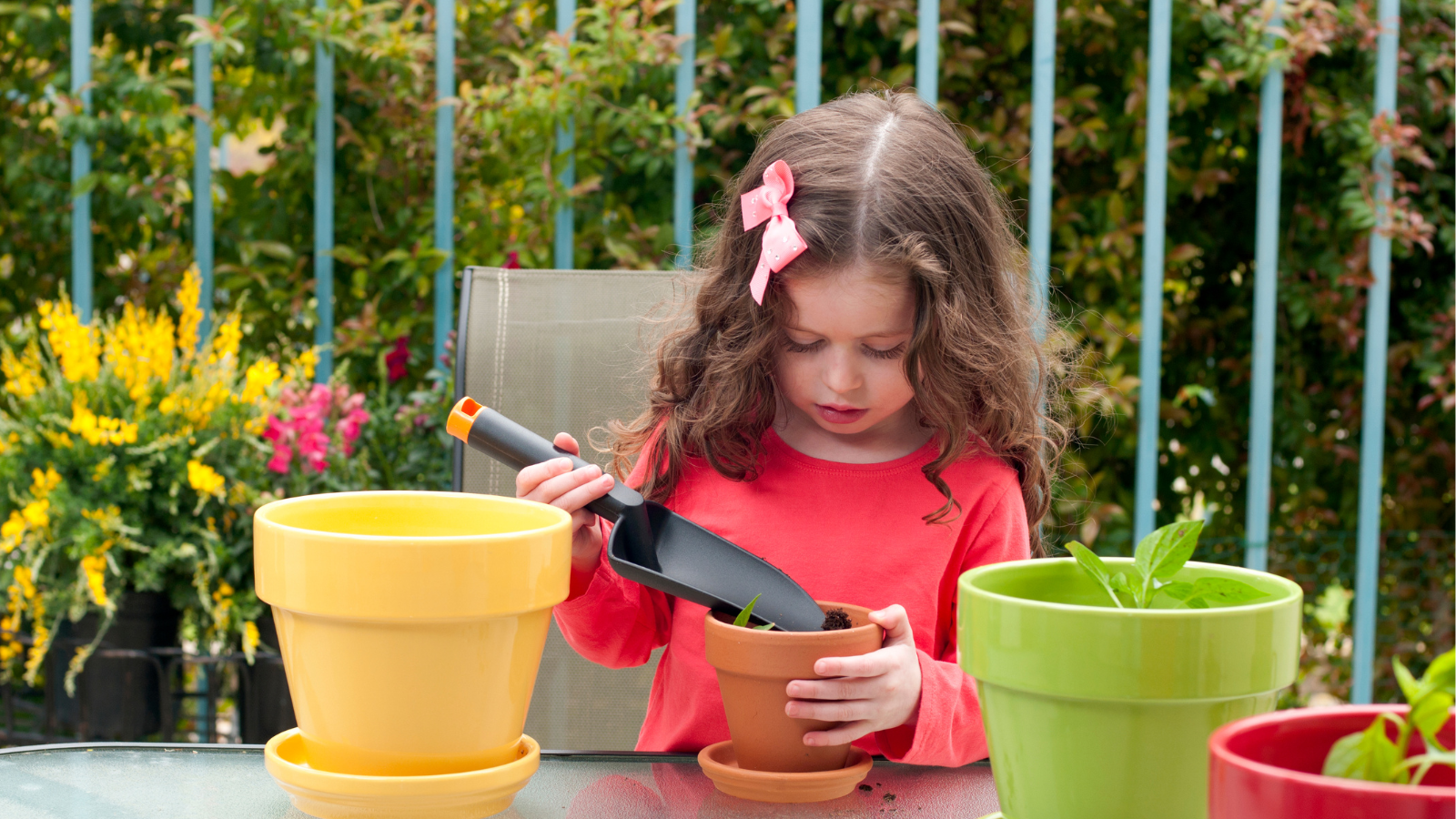 Little Sprouts Aspect Ratio 1600 900